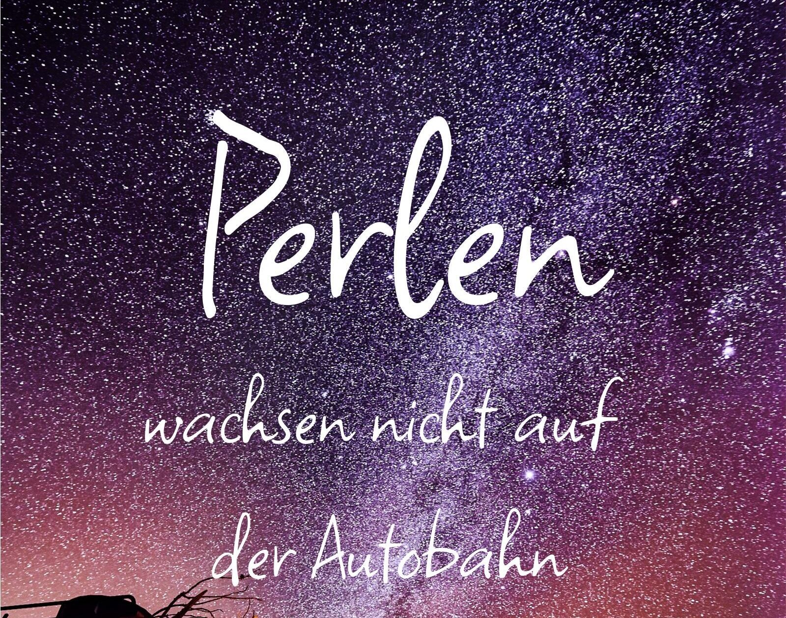 Perlen wachsen nicht auf der Autobahn –
Das Buch zu unserer Reise
